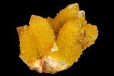 Sunshine Cactus Quartz Crystal Cluster - South Africa #132885-2